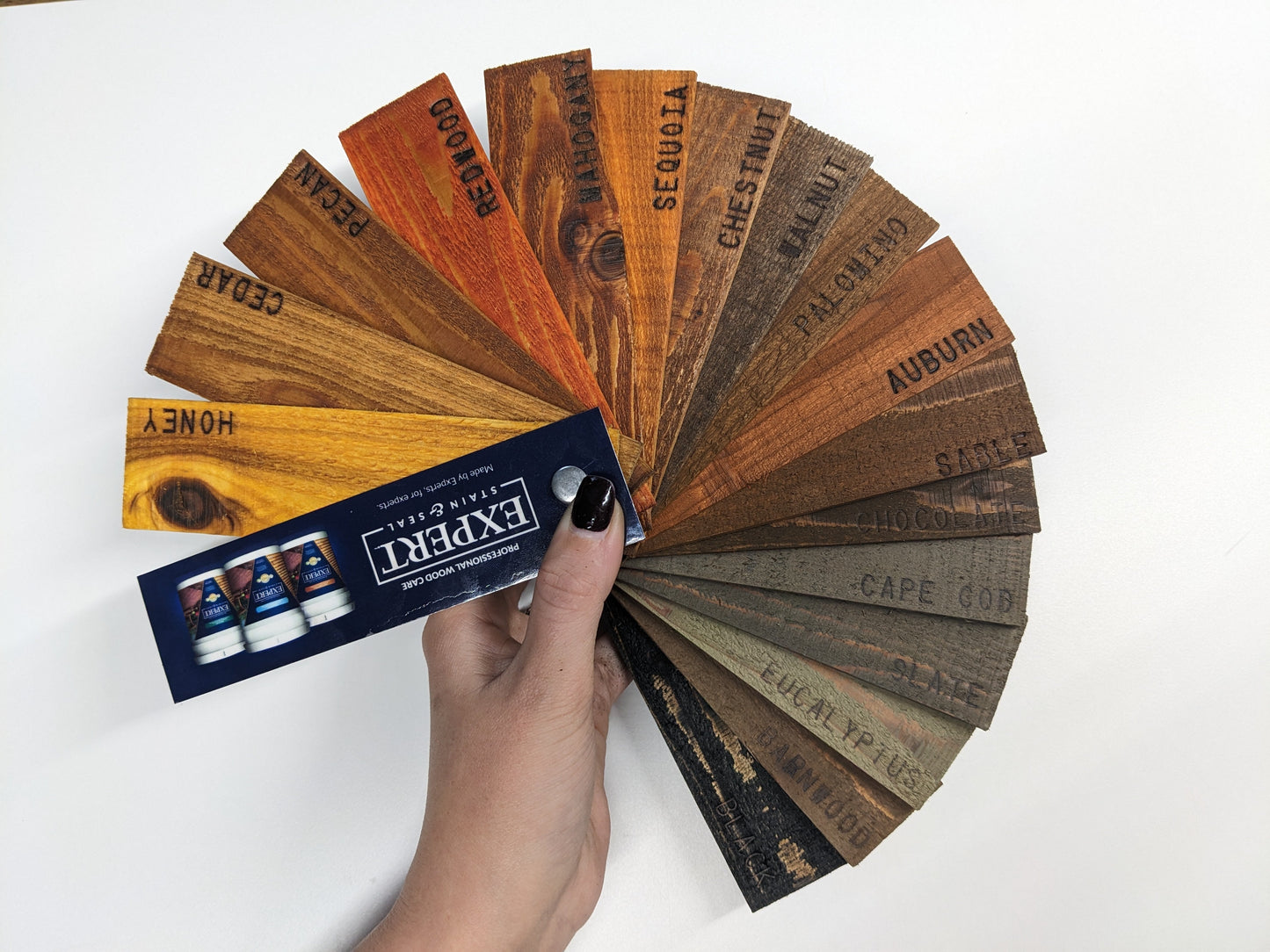 Wood Stain Color Samples Fan Deck - Stain & Seal Experts Store